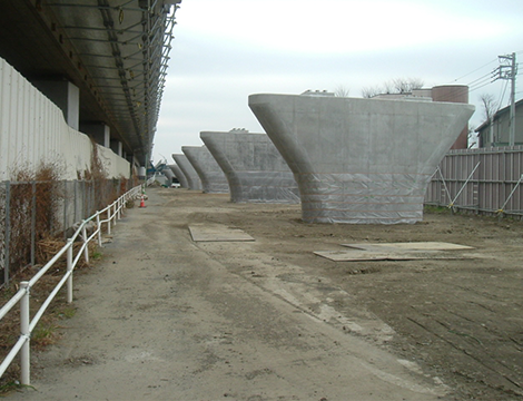 東名高速道路（改築）岡田東高架橋（下部工）工事