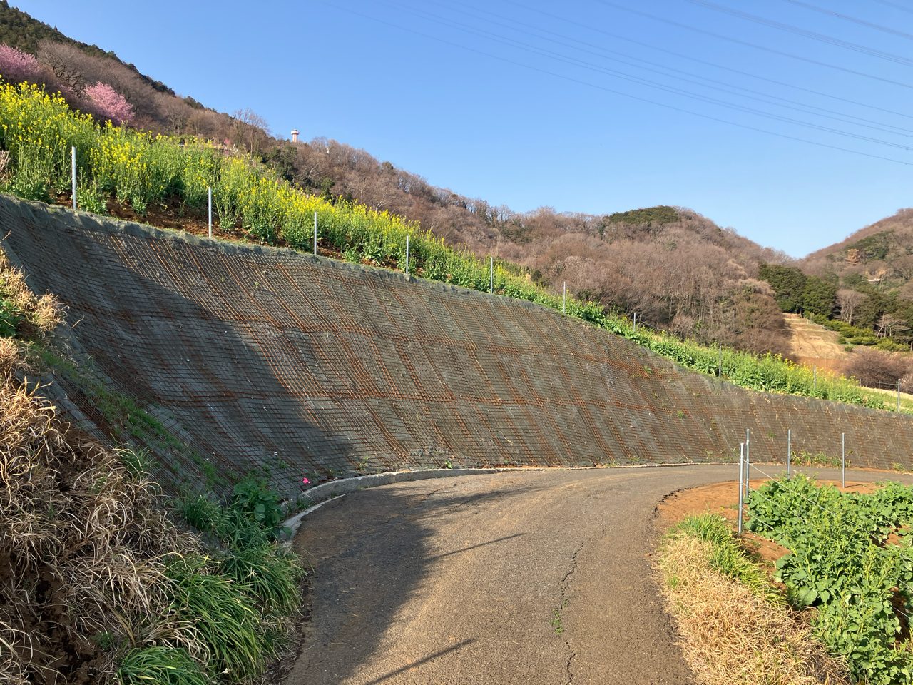 R6川崎国道事務所管内西地区環境整備工事